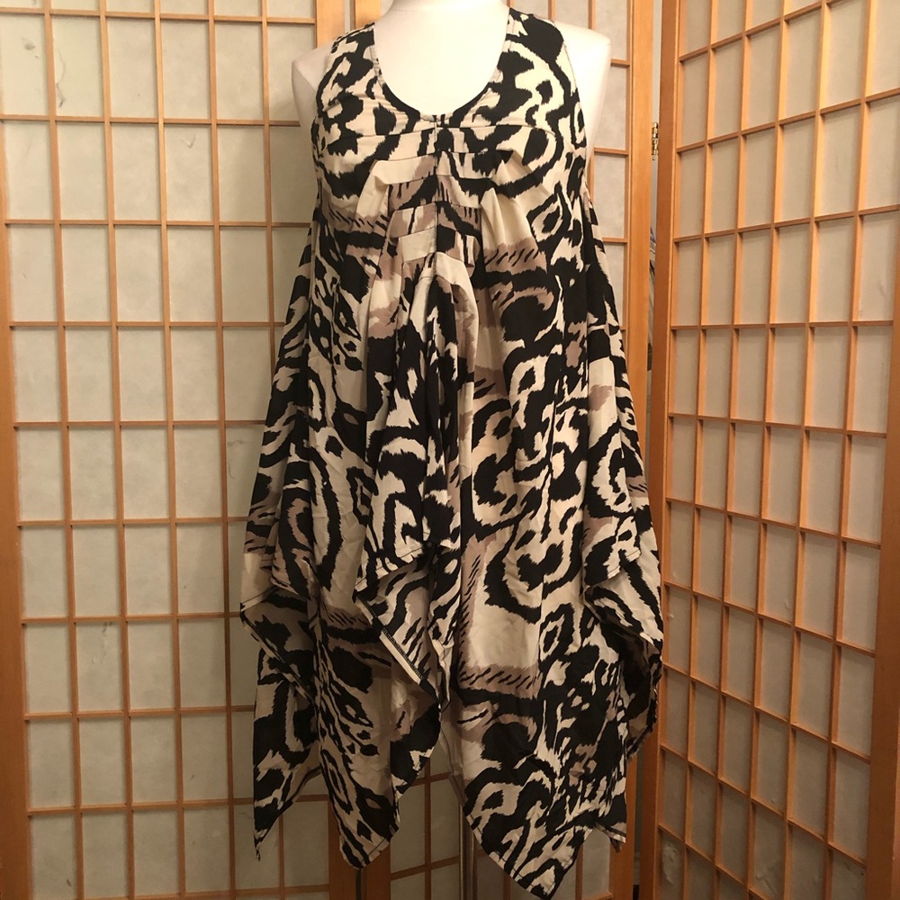Long top/dress